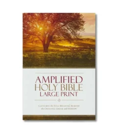 Amplified Holy Bible, Large Print, Hardcover