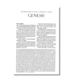 Amplified Holy Bible, Large Print, Hardcover