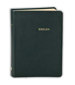 Bibelen i ægte sort skind