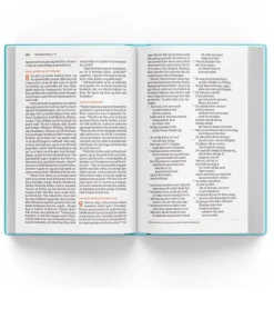 Bibelen på Hverdagsdansk 2024, TREND, sand