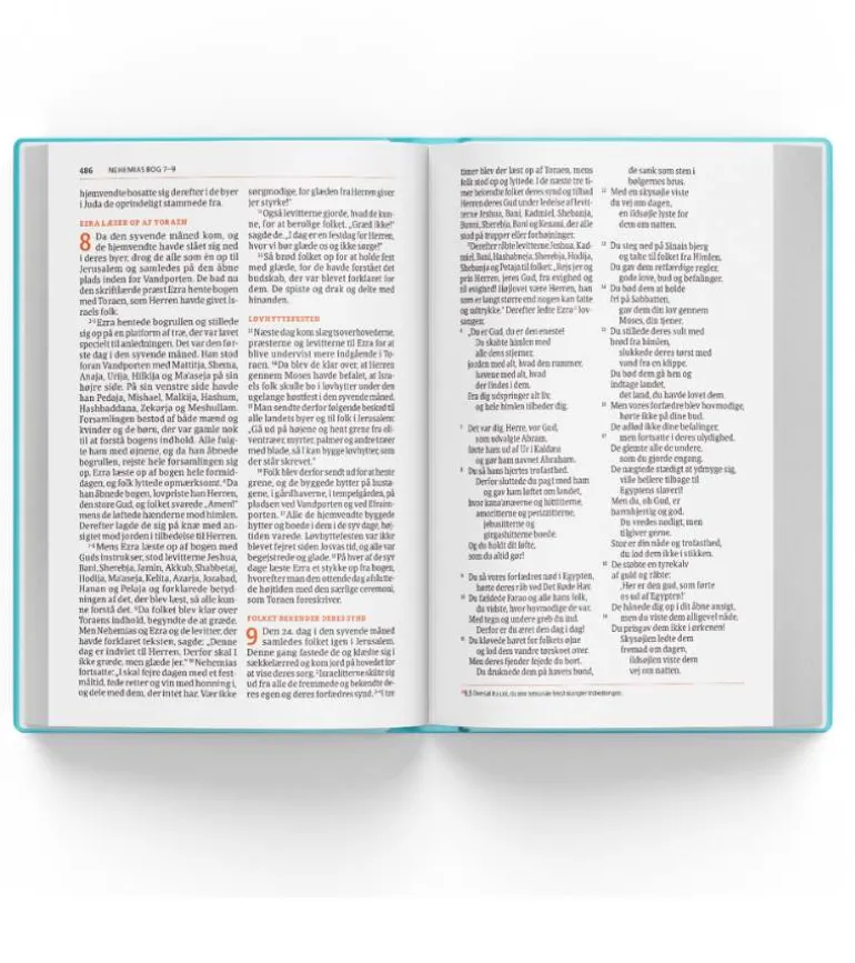 Bibelen på Hverdagsdansk 2024, TREND, sand