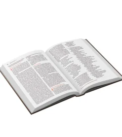 Bibelen på Hverdagsdansk 2024, Vinrød, kunstlæder