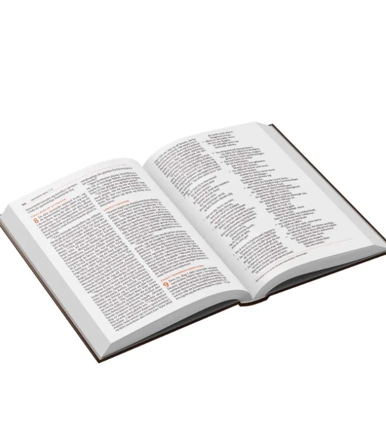 Bibelen på Hverdagsdansk 2024, Vinrød, kunstlæder