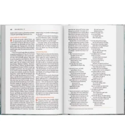 Bibelen på Hverdagsdansk 2024, Vinrød, kunstlæder