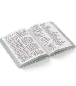 Bibelen på Hverdagsdansk 2024, TREND, grå