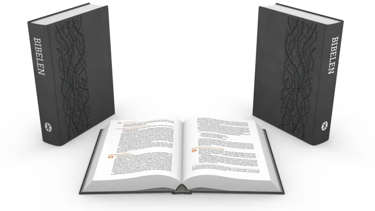 Bibelen på hverdagsdansk, 2015, mørkebrun kunstlæder