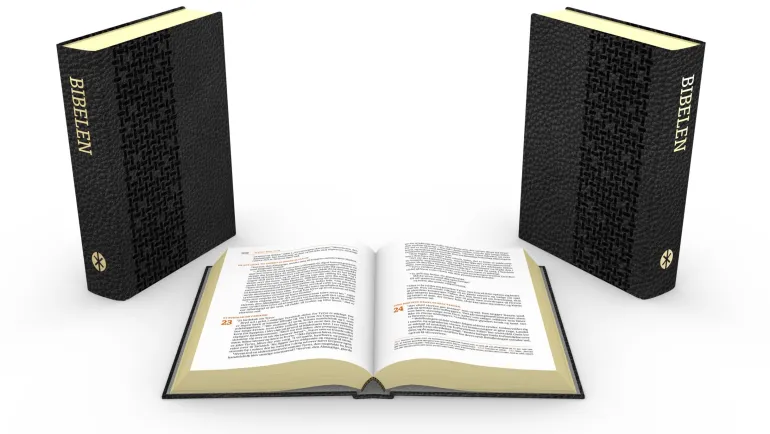 Bibelen på Hverdagsdansk 2015, Ægte læder, Sort