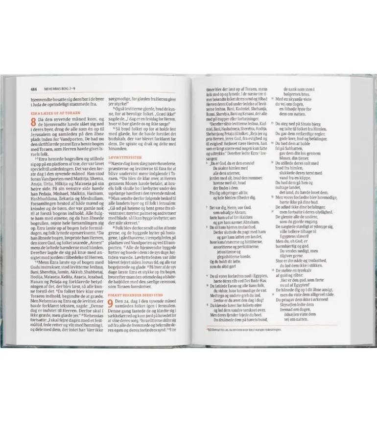 Bibelen på Hverdagsdansk, ægte læder, sort, 2024 udgave