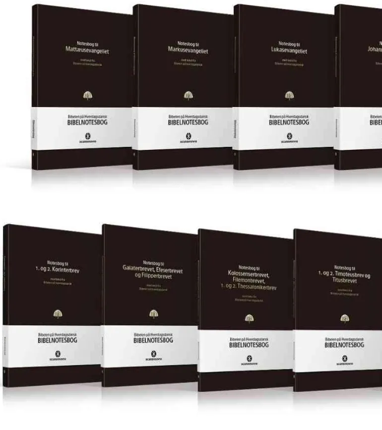 Bibelnotesbøger, Samlet sæt med 13 NT notesbøger