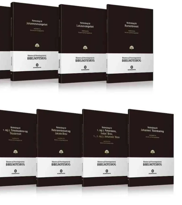 Bibelnotesbøger, Samlet sæt med 13 NT notesbøger