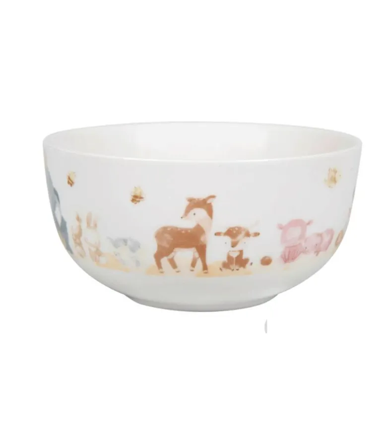 Børneskål med Noas Ark