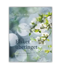 Elsket ubetinget af Henri Nouwen