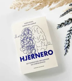 HjerneRo af Martin Riis Kastrup og Mads Hyldig