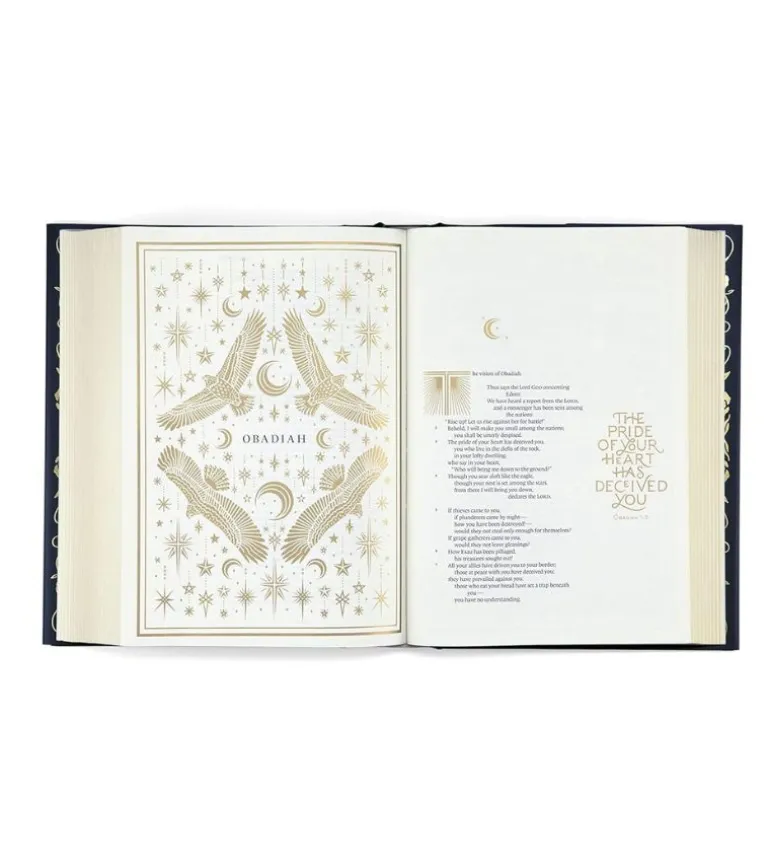 Holy Bible, Illuminated Bible, Art Journaling Edition