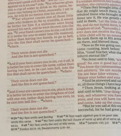 Holy Bible, New King James Version, Burgundy