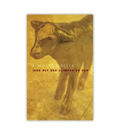 Ikke alt der glimrer er Gud af Timothy Keller