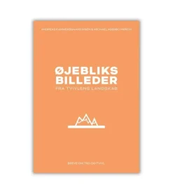 Øjebliksbilleder fra tvivlens landskab