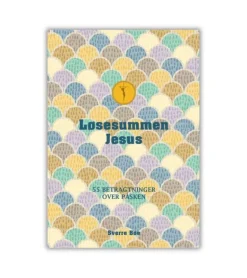 Løsesummen Jesus af Sverre Bøe