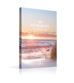 Ny Testamente på hverdagsdansk, strand