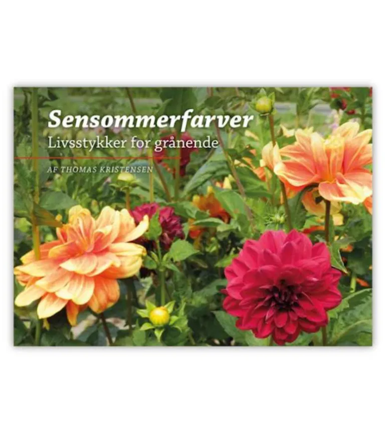 Sensommerfarver – Livsstykker for grånende
