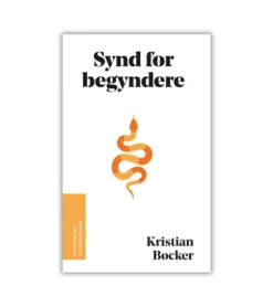 Synd for begyndere af Kristian Bøcker