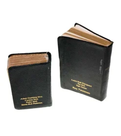 Tryk på EGEN/GAMMEL salmebog eller bibel